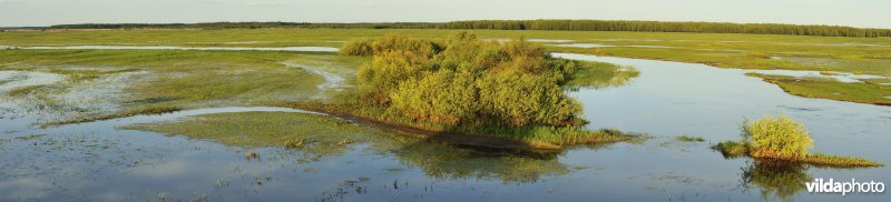 Vallei van de Biebrza