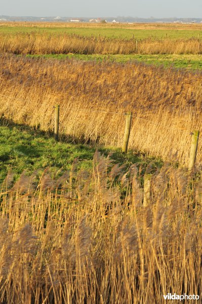 Uitkerkse Polders