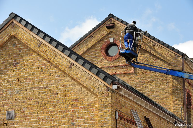 Ophangen van zwaluw-nestkasten