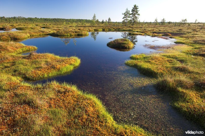 Natuurreservaat Nigula