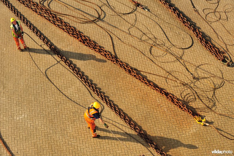 Arbeiders in de haven van Zeebrugge