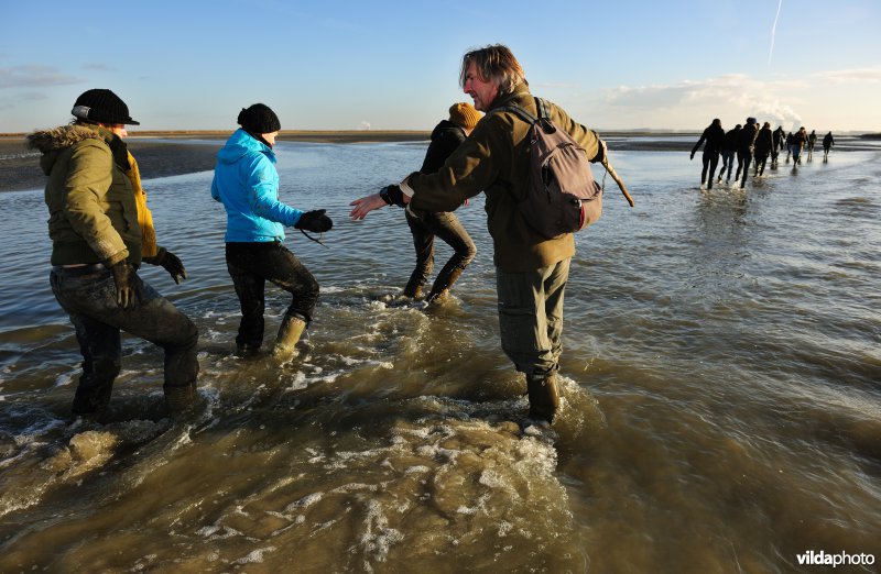 Excursie in het Verdronken Land van Saeftinghe