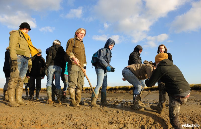 Excursie in het Verdronken Land van Saeftinghe