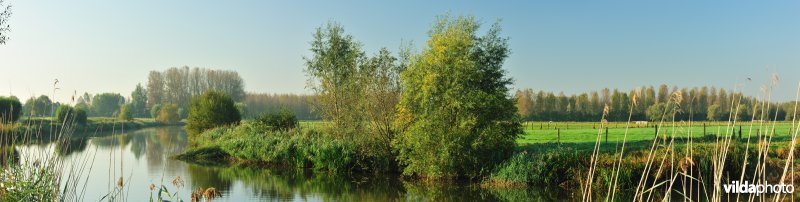 Oude Leie meander