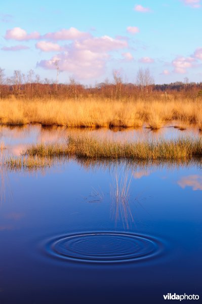 Petgaten in het Haaksbergerveen