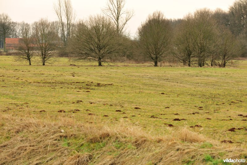 Vallei van de Grote Nete