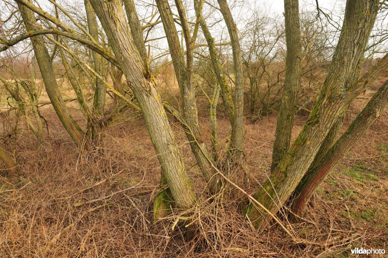 Vallei van de Grote Nete