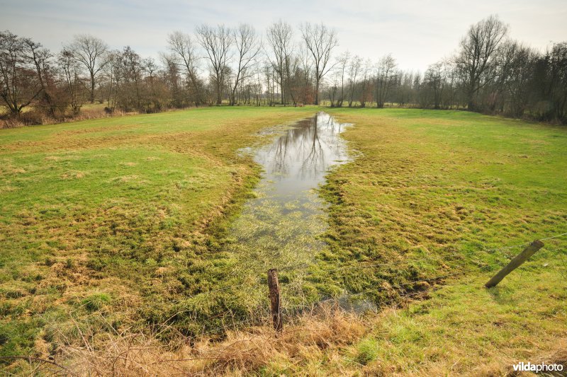 Vallei van de Grote Nete