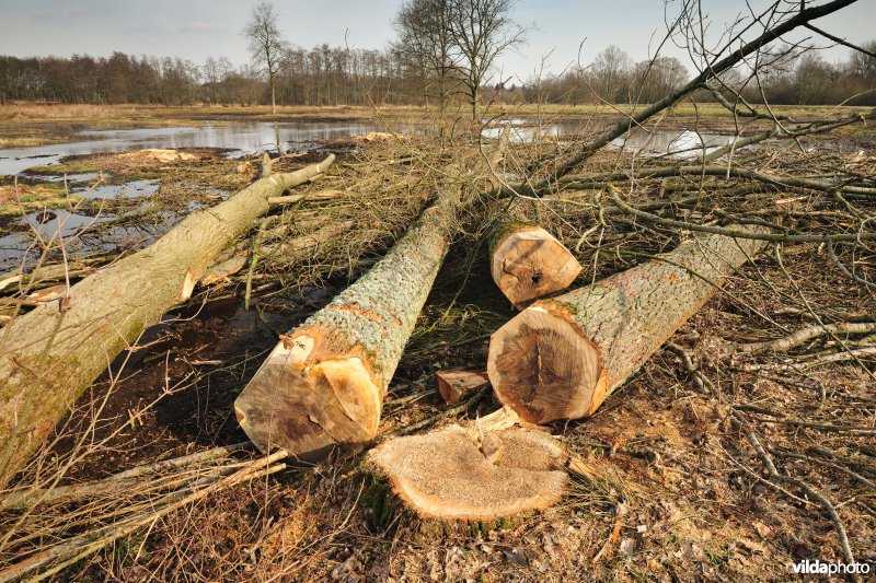 Vallei van de Grote Nete