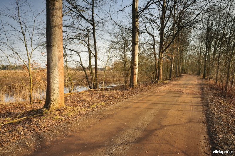 Dijlevallei Rijmenam: Pikhaken