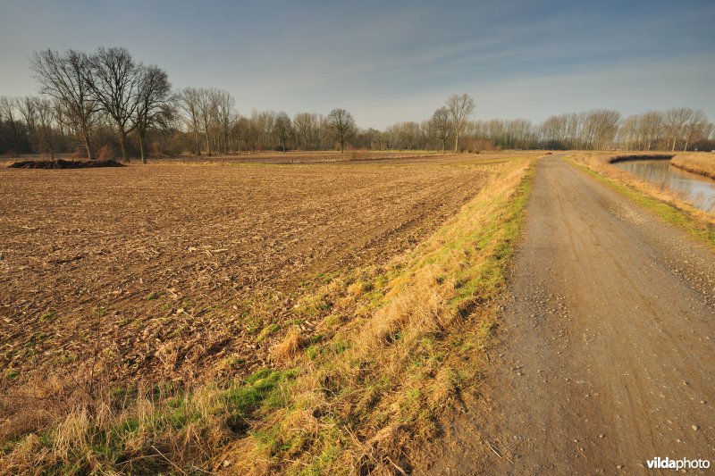 Dijlevallei Rijmenam: Pikhaken