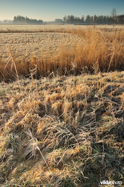 Weijmeerbroek