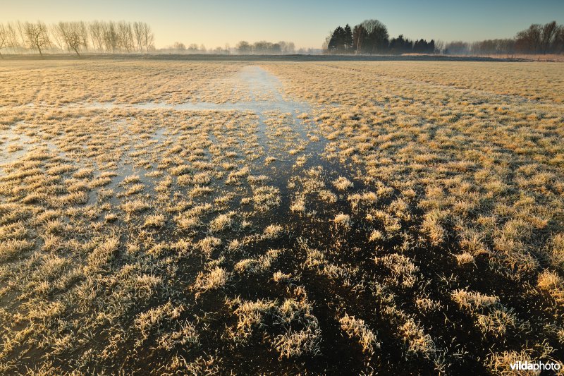 Weijmeerbroek