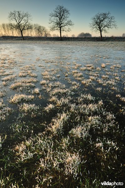 Weijmeerbroek