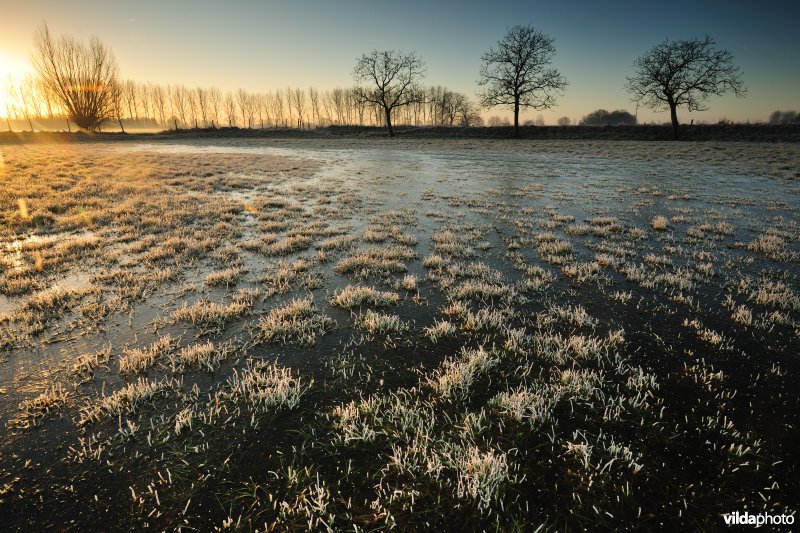 Weijmeerbroek