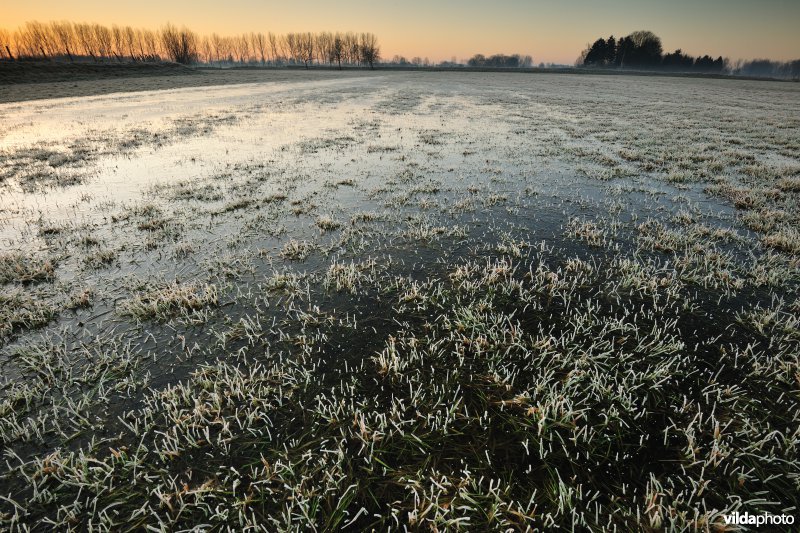 Weijmeerbroek