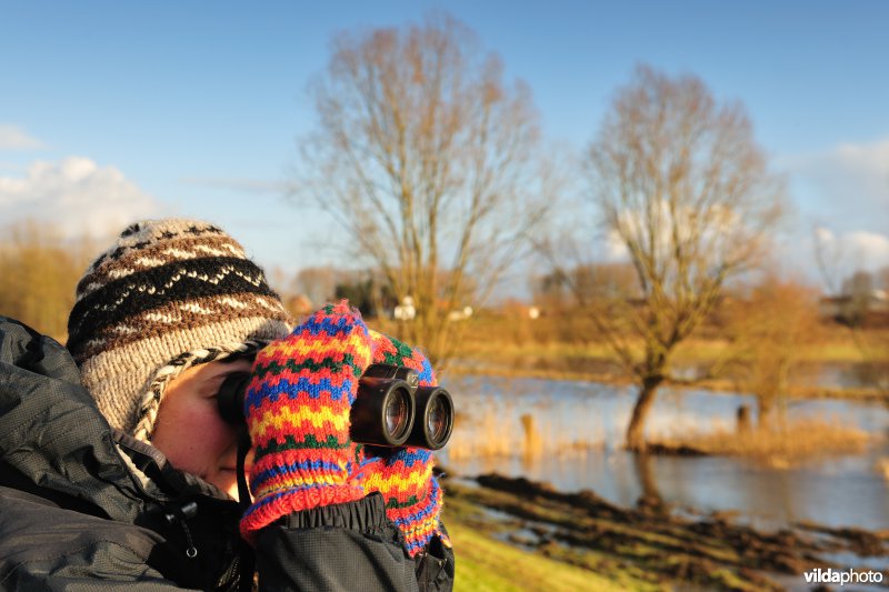 Vogelkijker in de Wijmeers