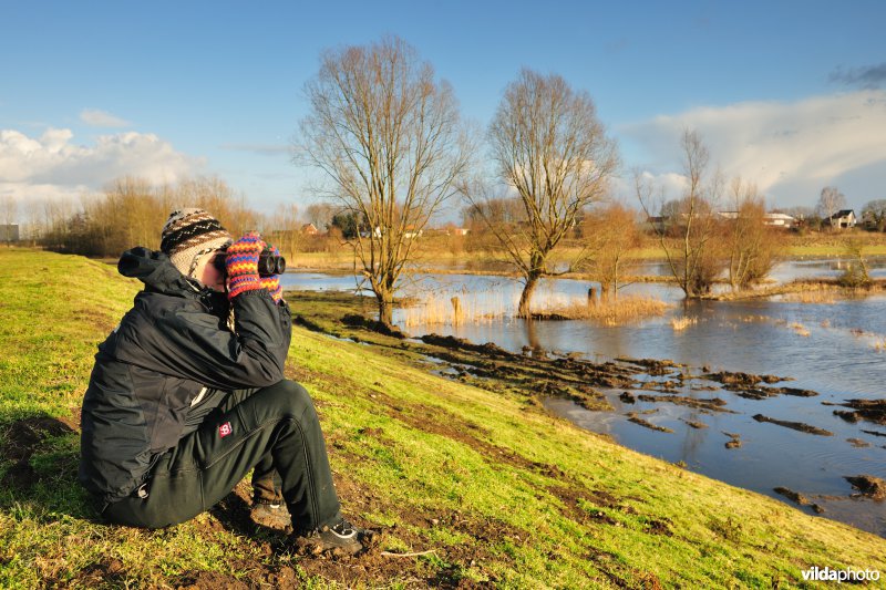 Vogelkijker in de Wijmeers