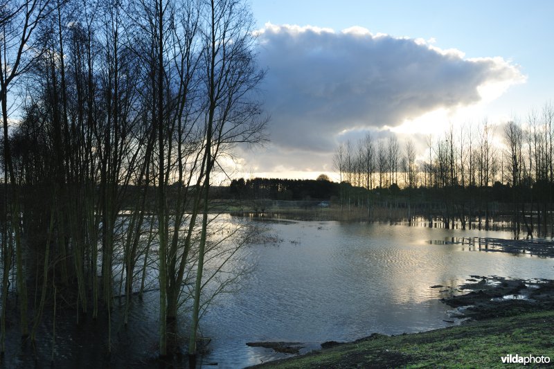 Wijmeers