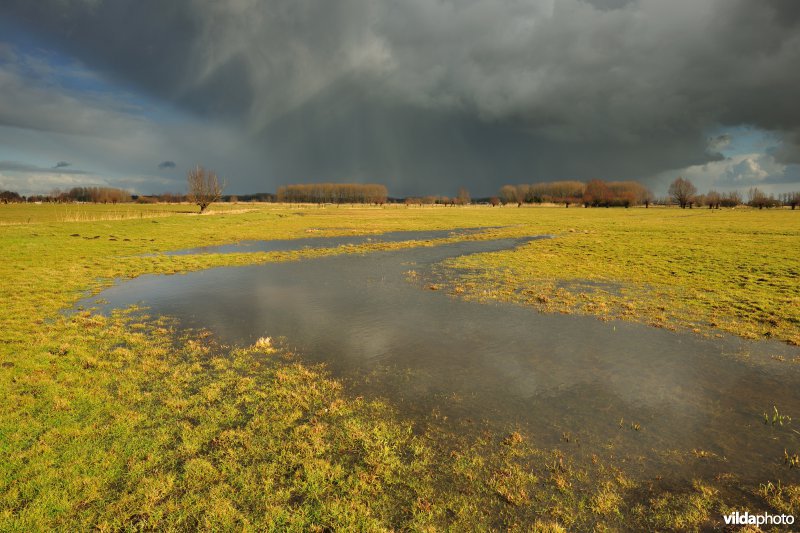 Vingelinkbeekvallei in de Kalkense meersen
