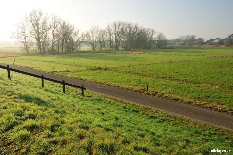 Paardeweide
