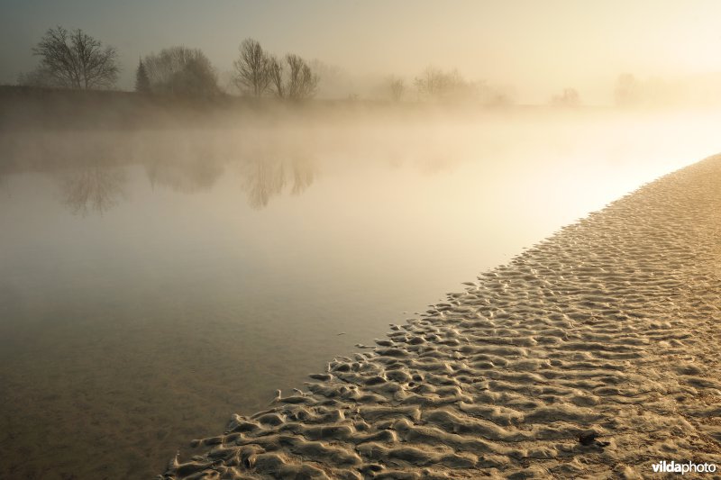 Schor bij de Bergenmeersen