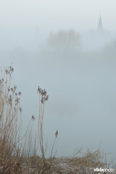 De Schelde te Uitbergen