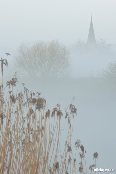 De Schelde te Uitbergen