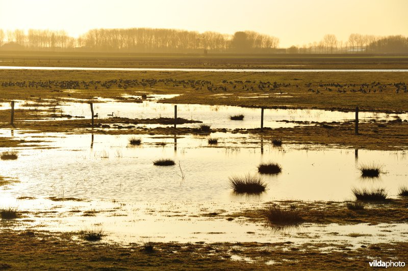 Putten West
