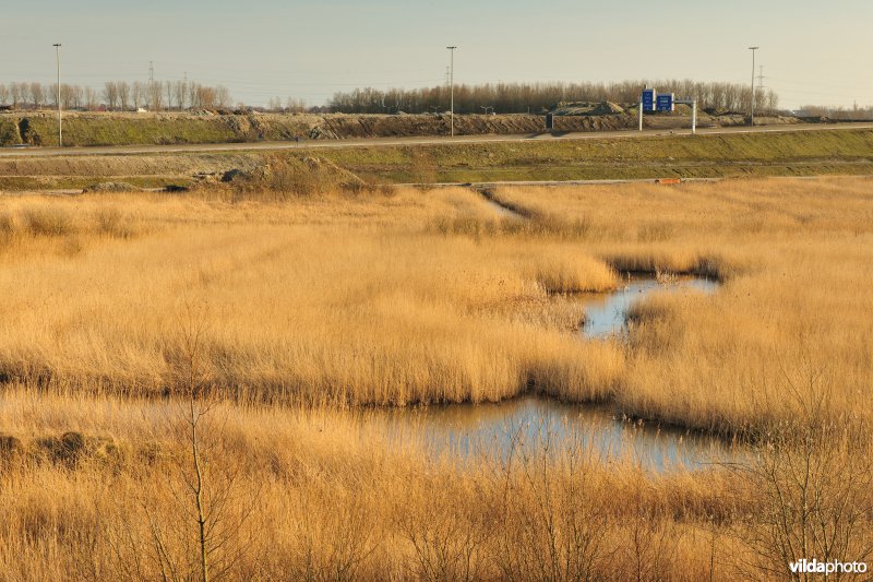 Steenlandpolder