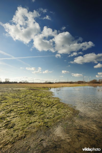 Vlakte van Zwijndrecht