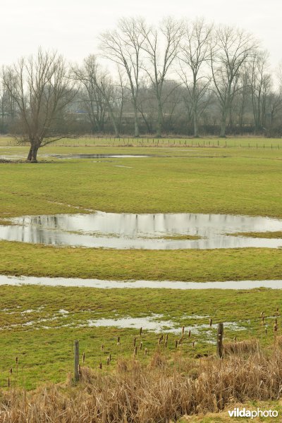 Zennegat