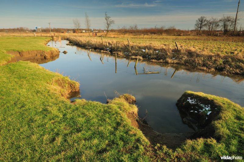 KBR polder