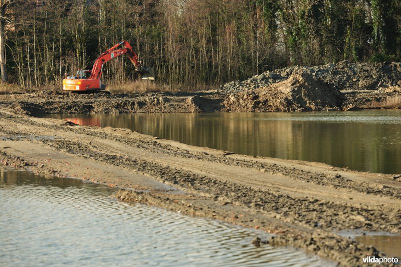 Schiphoekpolder