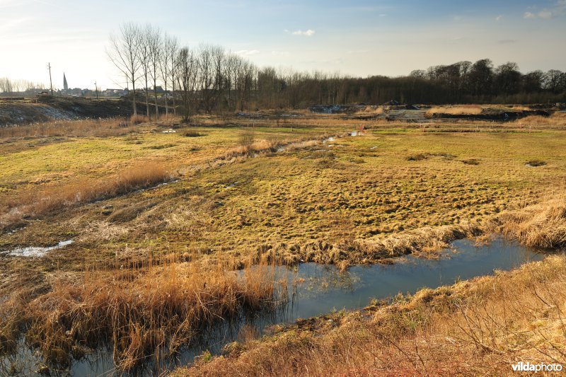 Schiphoekpolder