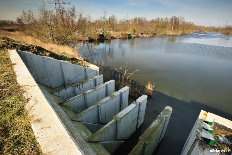 Rupelmondse kreek