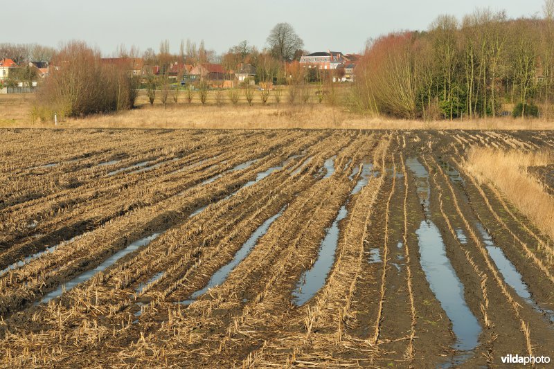 Klein Broek