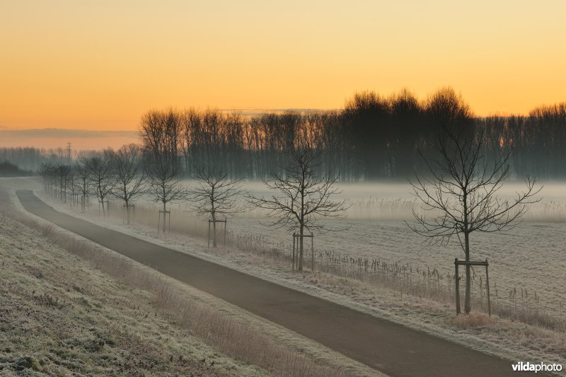 Weijmeerbroek