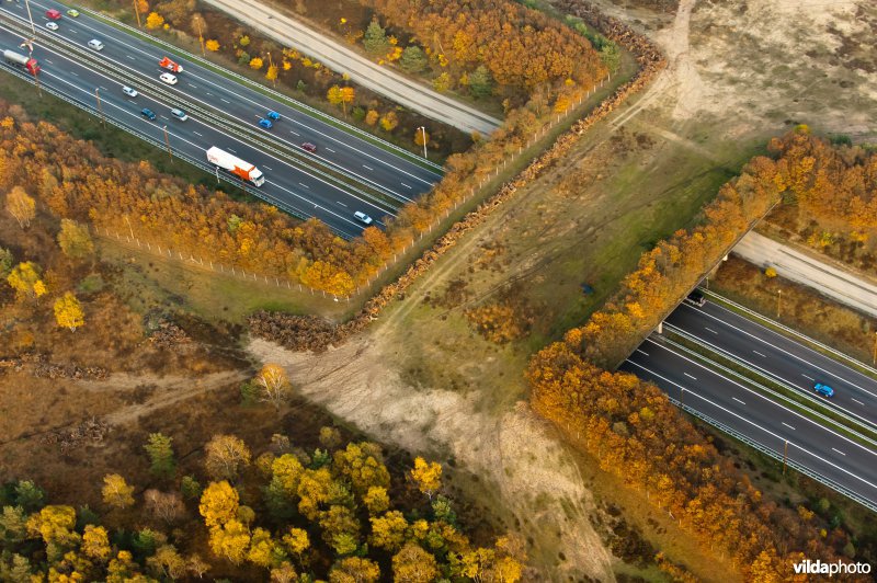 Ecoduct over snelweg