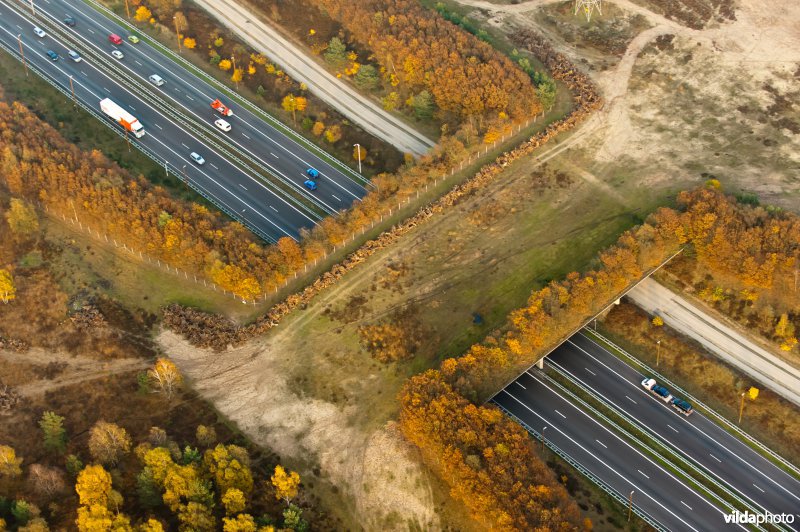 Ecoduct over snelweg