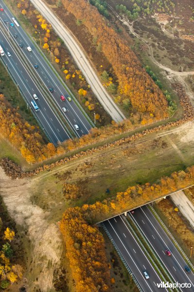 Ecoduct over snelweg