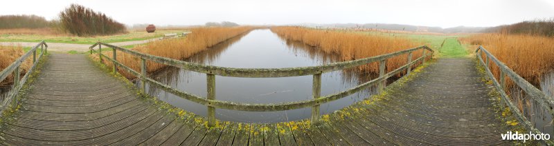 Park in het domein Raversijde