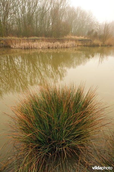 Park in het domein Raversijde
