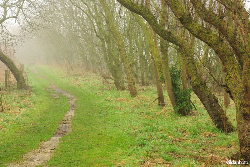 Park in het domein Raversijde