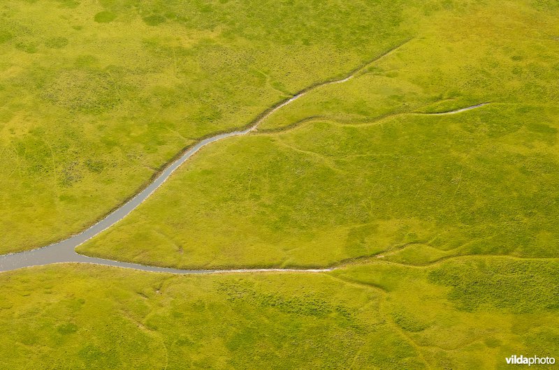 Kreek in het Lauwersmeer