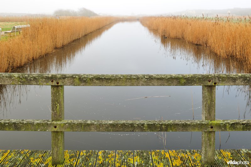Park in het domein Raversijde