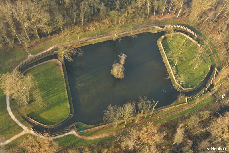 Eendenkooi van het Donkmeer