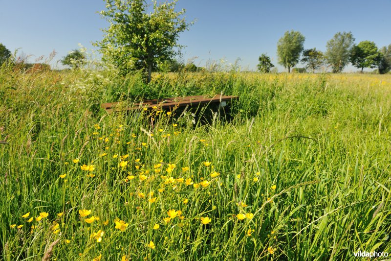 Kalkense Meersen: beeldenstroom reeks 3