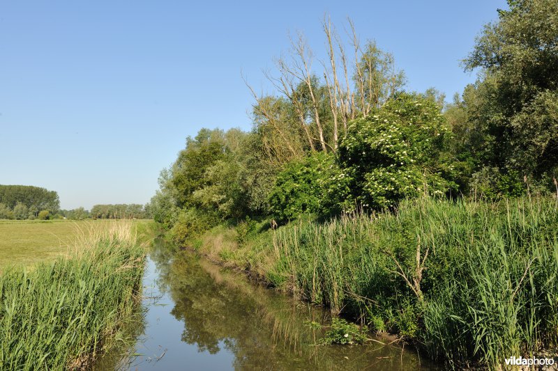 Kalkense Meersen: beeldenstroom reeks 3