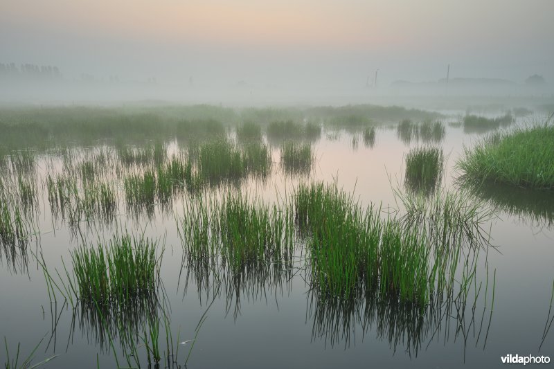 Gentbrugse Meersen